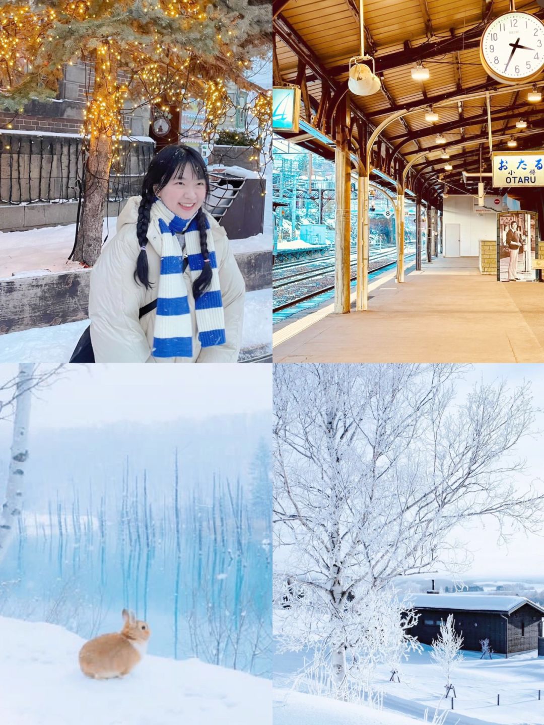 ❄️北海道小白必备攻略！交通线路安排！