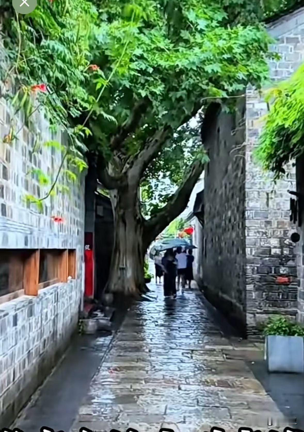 你身上的本事全是经济困难的时候长出来的，你身上的毛病全是日子好过时养出来的。受苦