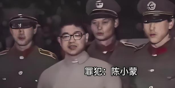 1986年2月19日，上海召开公判大会，强奸流氓大案主犯陈小蒙、胡晓阳和葛志文被