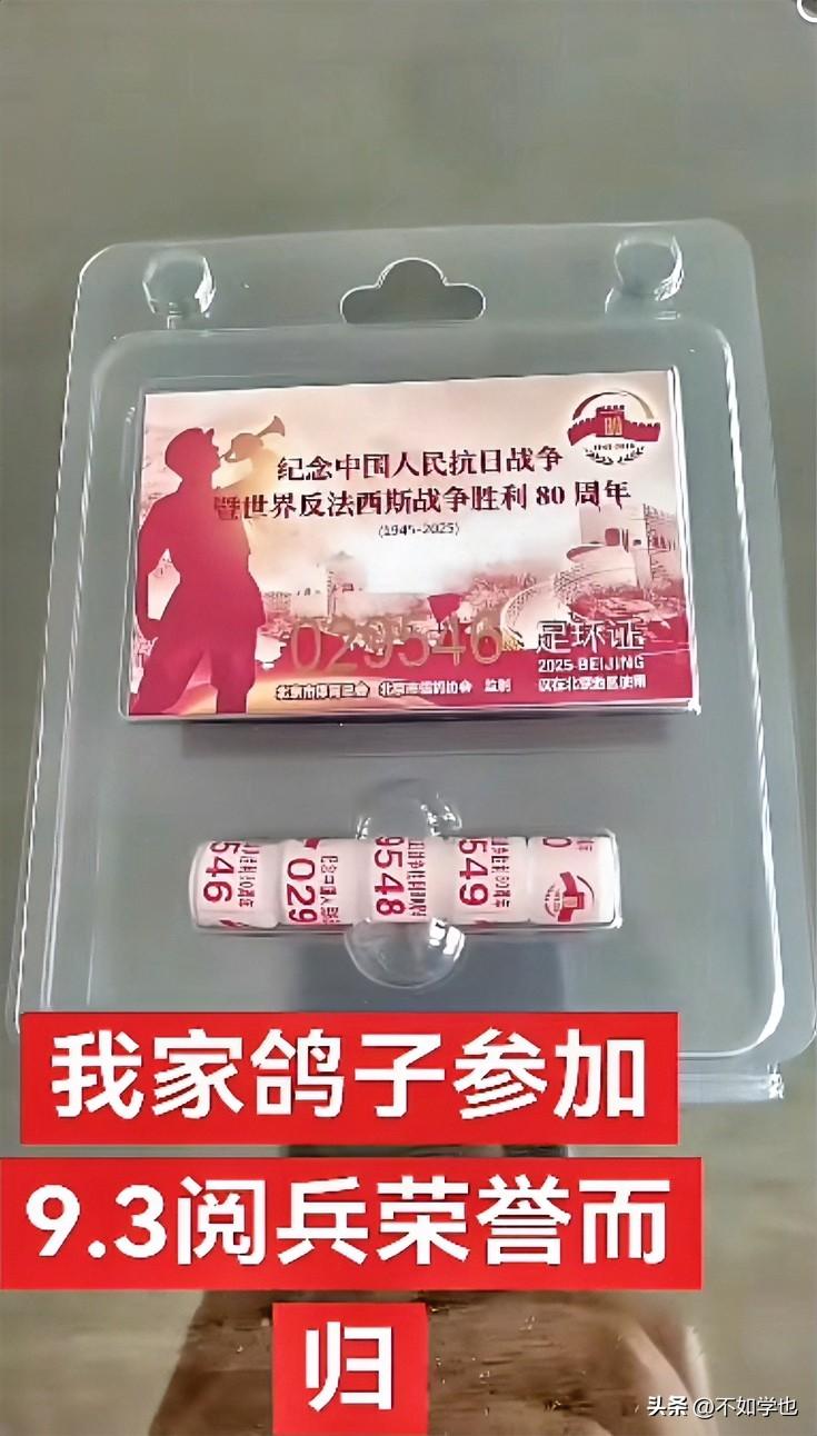 被国家征用的鸽子就是不一样
可别小瞧它们，它们可都是有工资的鸽鸽呦

一般，在重