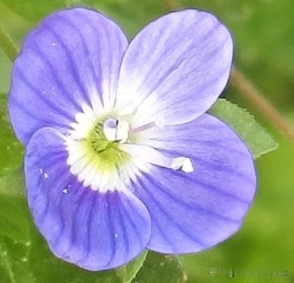 没有比父母偏心更让人难受的了？
因为亲人带来的伤害，真的是致命伤。

如果被陌生