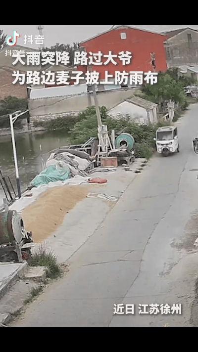 上人民日报了，全国人民都被感动了！

突然降雨，路边晒着的麦子没人看顾，路过的一