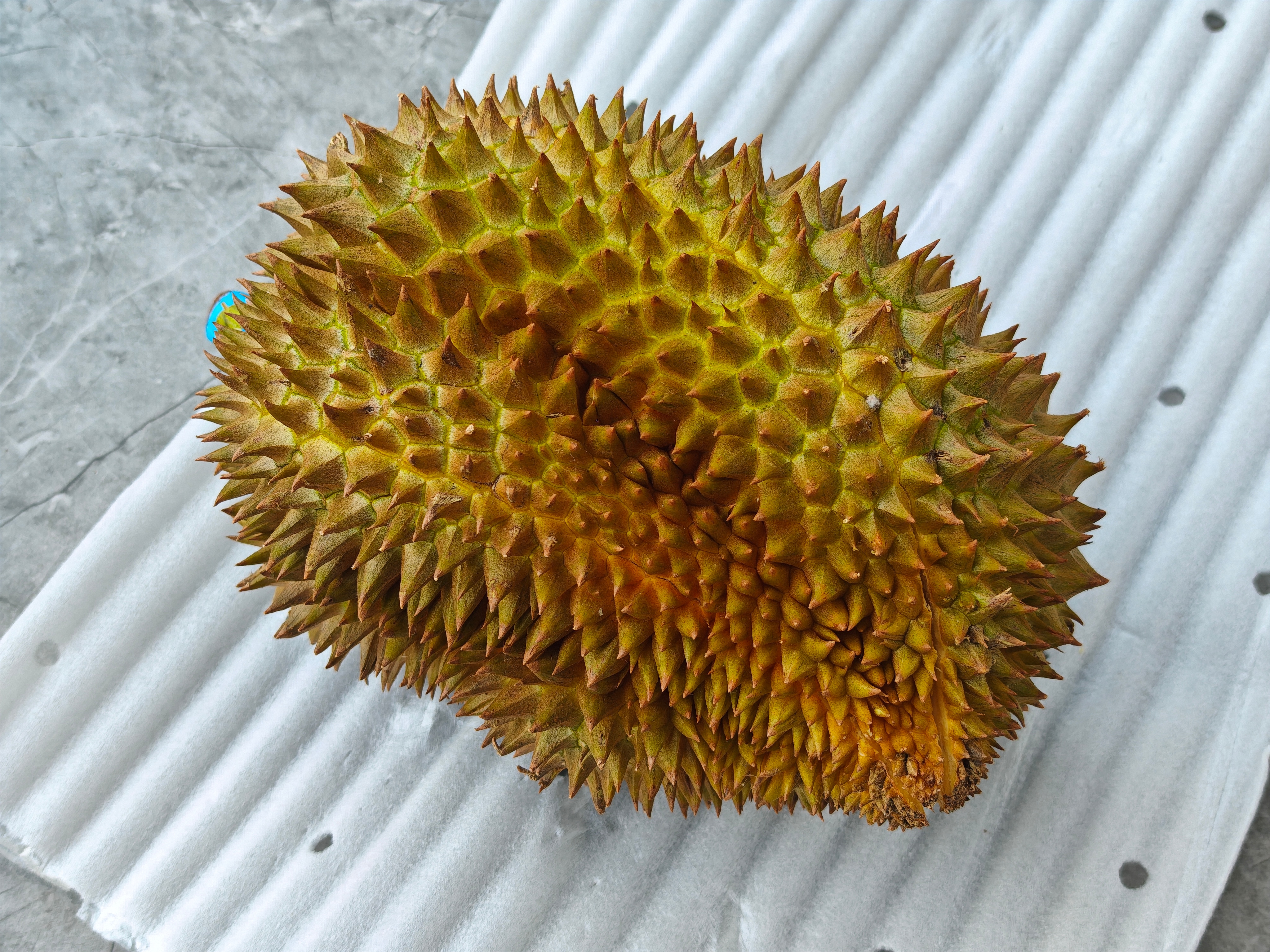 某品牌，不对，应该说某集团，现在是只能听得进夸赞的，连说个预售不算便宜都不行了被