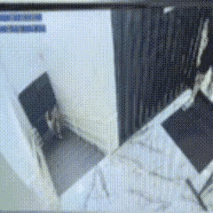 心有灵犀，偷偷看过才安心[大笑]