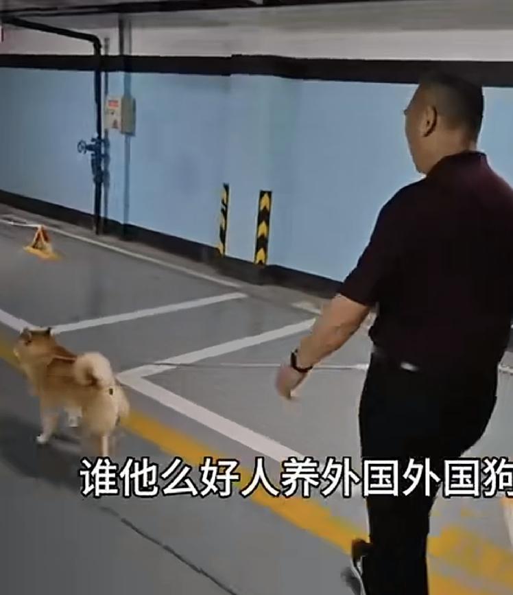 大爷跑地下车库遛狗，狗把业主的车给尿了，业主批评大爷说，不能在地下车库随地大小便