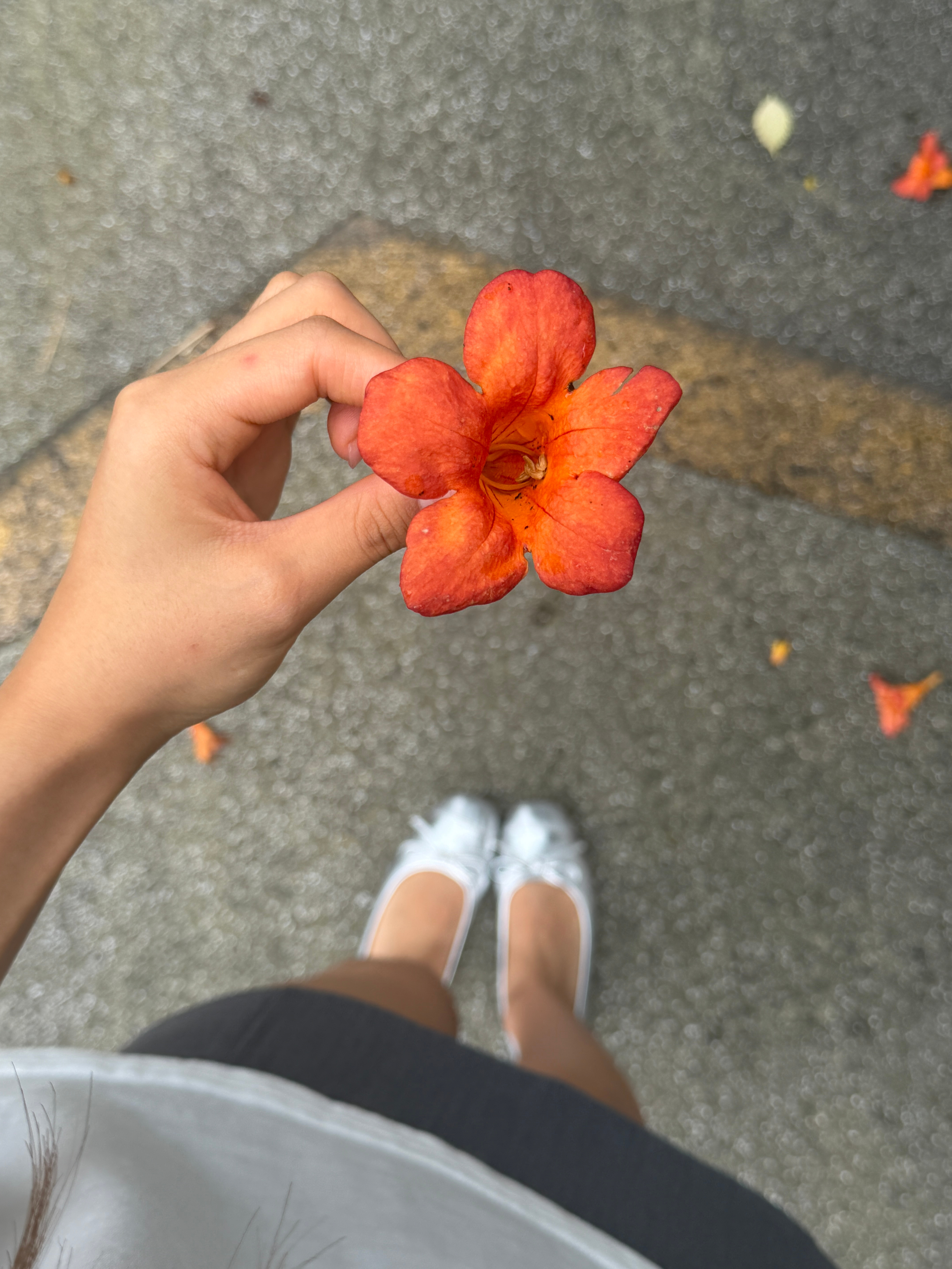 一些🤳爱车的思思 杭州