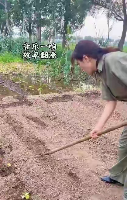 曾黎干农活的样子像是拍剧，明星们咋都喜欢没苦硬吃？ ​​​