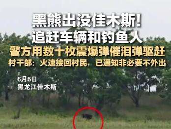 你们发现没？东北的山林，藏的东西比想的野多了。
黑龙江佳木斯。前两天出事了。
一