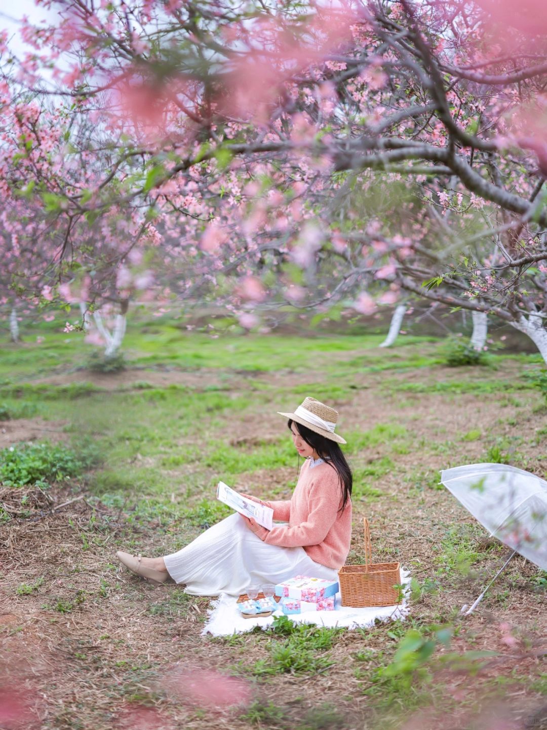 河畔樱花树下野餐🌸独属于广州早春的浪漫！