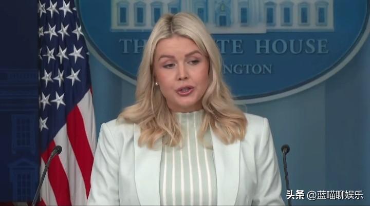 卡罗琳·莱维特称白宫正在讨论一些想法，以减轻国土安全部部分停摆危机的影响但支付运