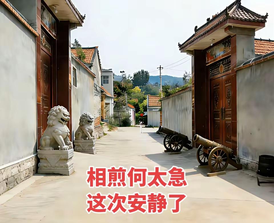 我严厉谴责双方，和平共处，合作共赢。有事协商解决不好吗？
大家怎么看？