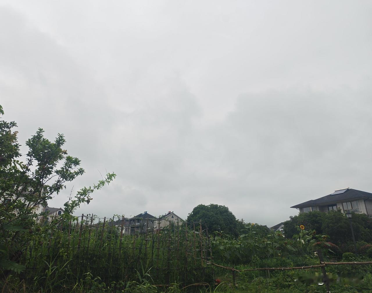 今天去周浦街办事，顺便去了农贸市场。感觉农贸市场内很多摊位都空着，整个街上也没有