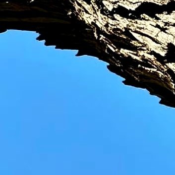 阳光信用‎阳光‎信用 ‎每日一善 人人存善念，并能日行一善，则个人、家庭、社会一