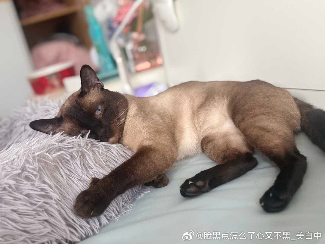 早安逼罗