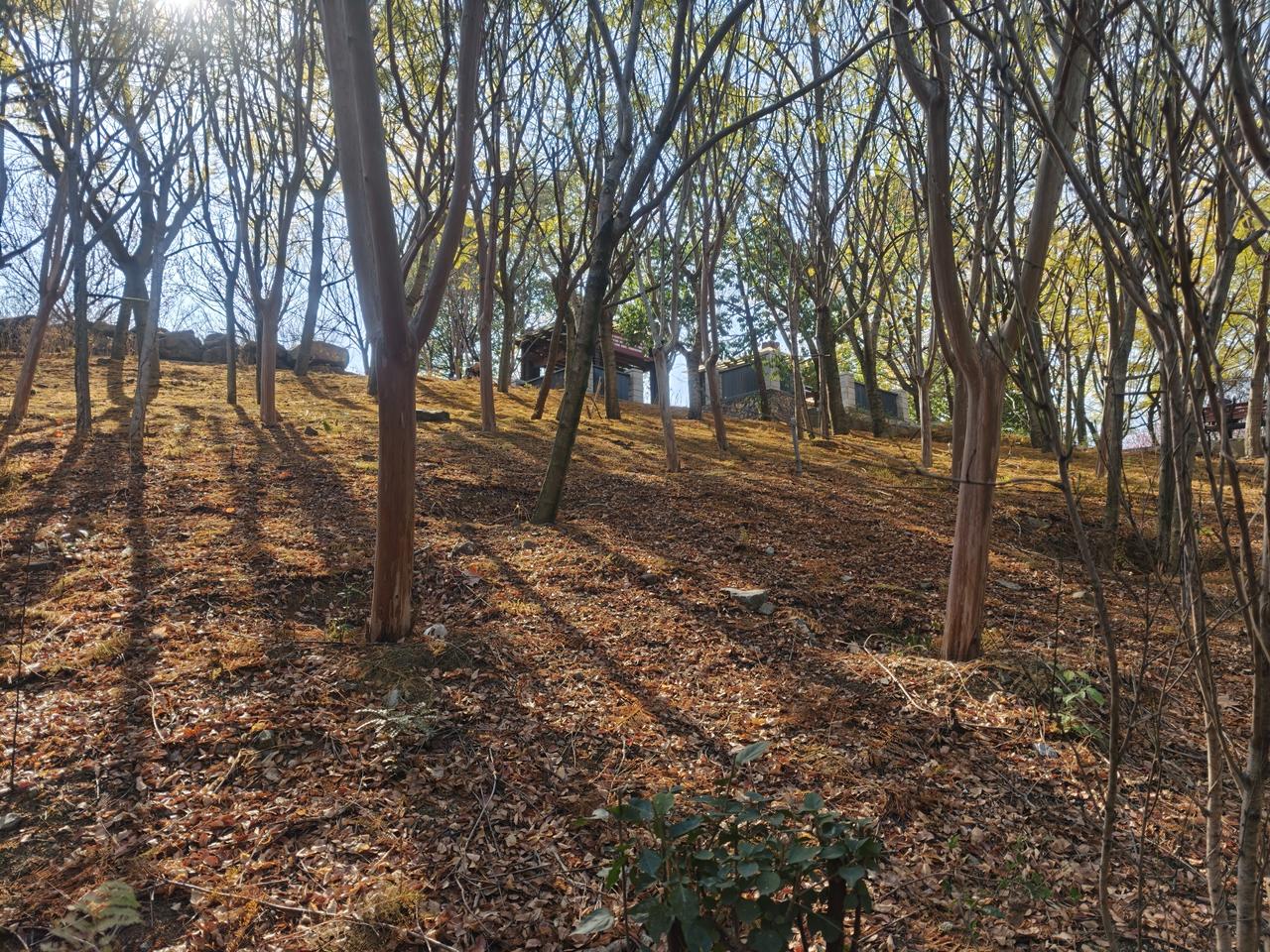 每个人都有自己的心灵归处，有自己的一方净土。你可以在这里肆意大叫，更可以随意撒欢