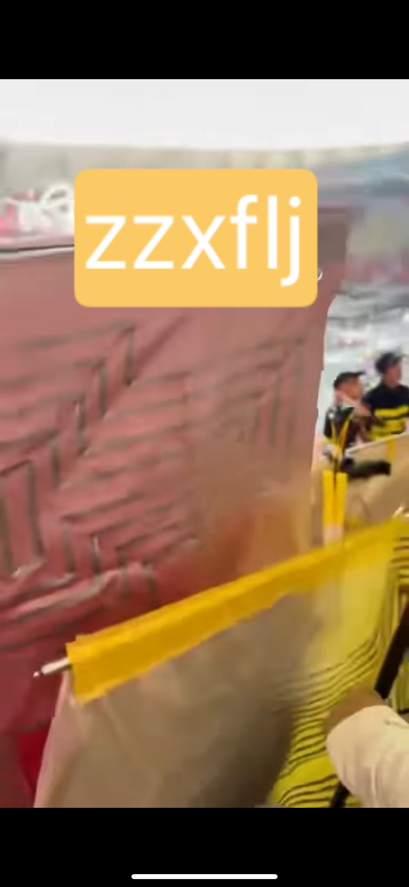 视频里是馋猫和朴丝抢夺灯牌前后位置特别感动 一直不放弃往前放 