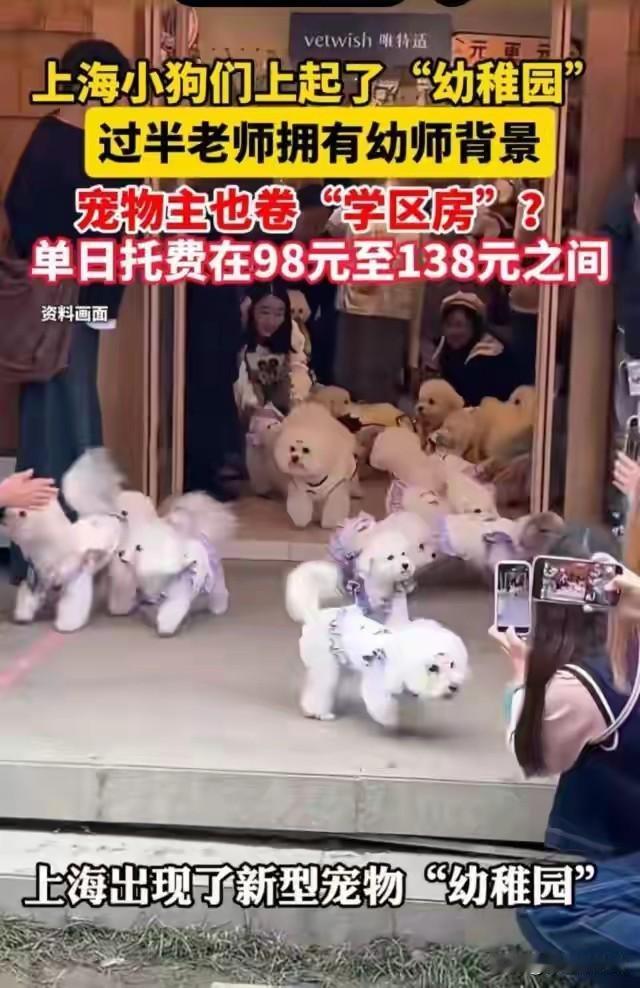 今天在手机上看到一条视频，说上海的狗狗们都开始上“幼儿园”了。不但有专门的教室还