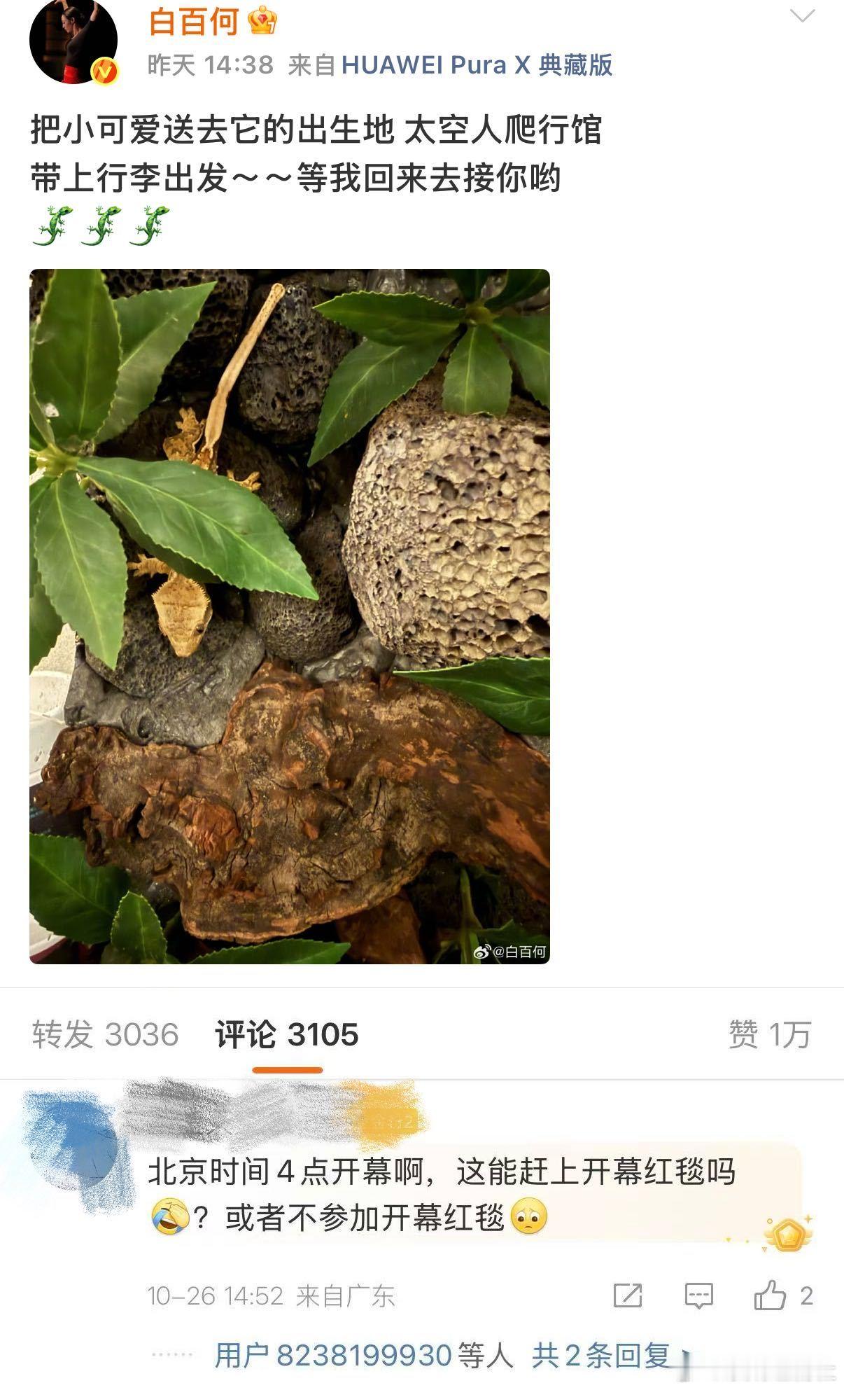 原来白百何才是真的内娱活人 当网友在担心白百何的行程的时候，白百何会选择直接回应