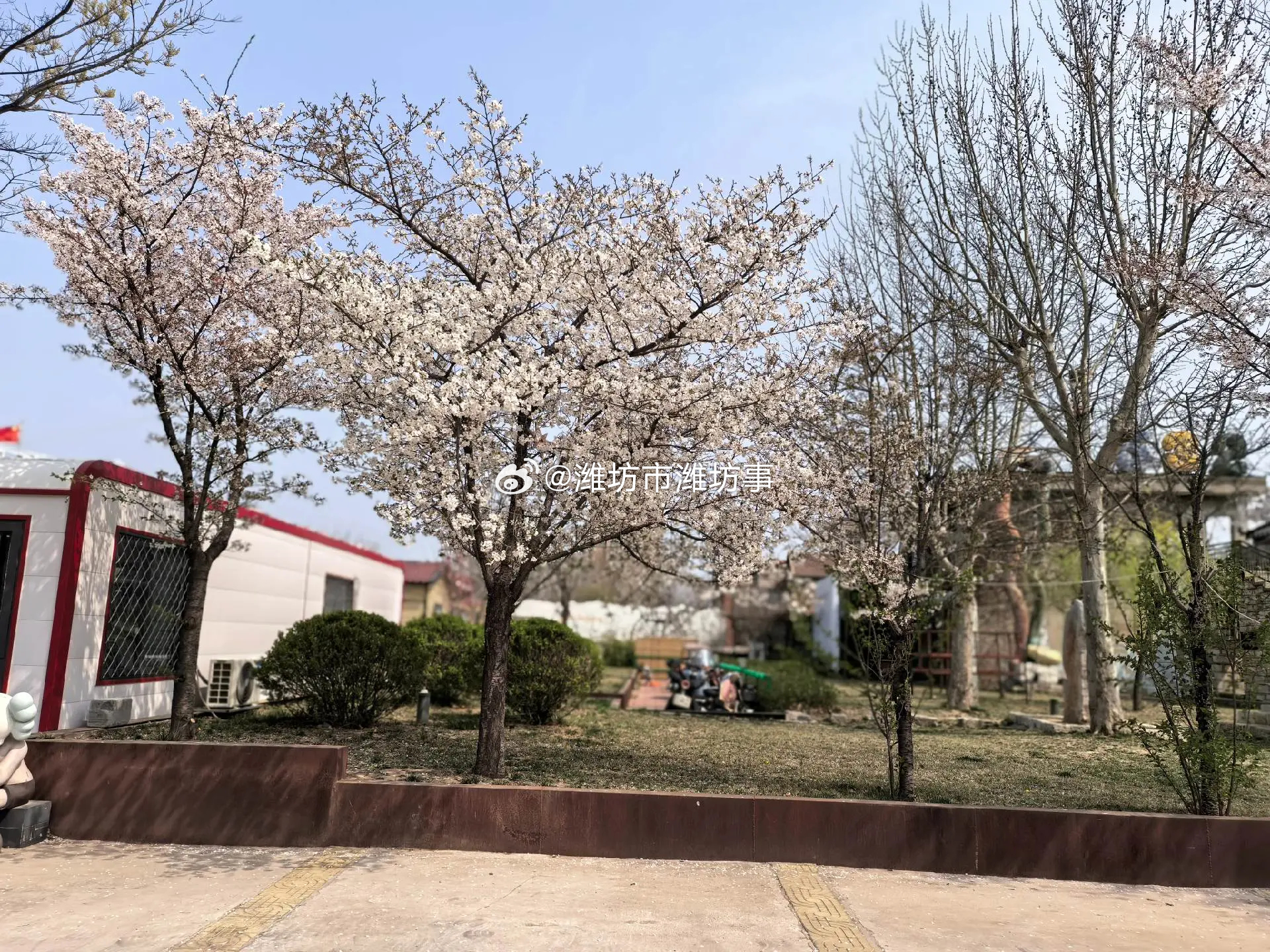 微博行摄  家有七郎要在1532文化园开拍了 潍坊