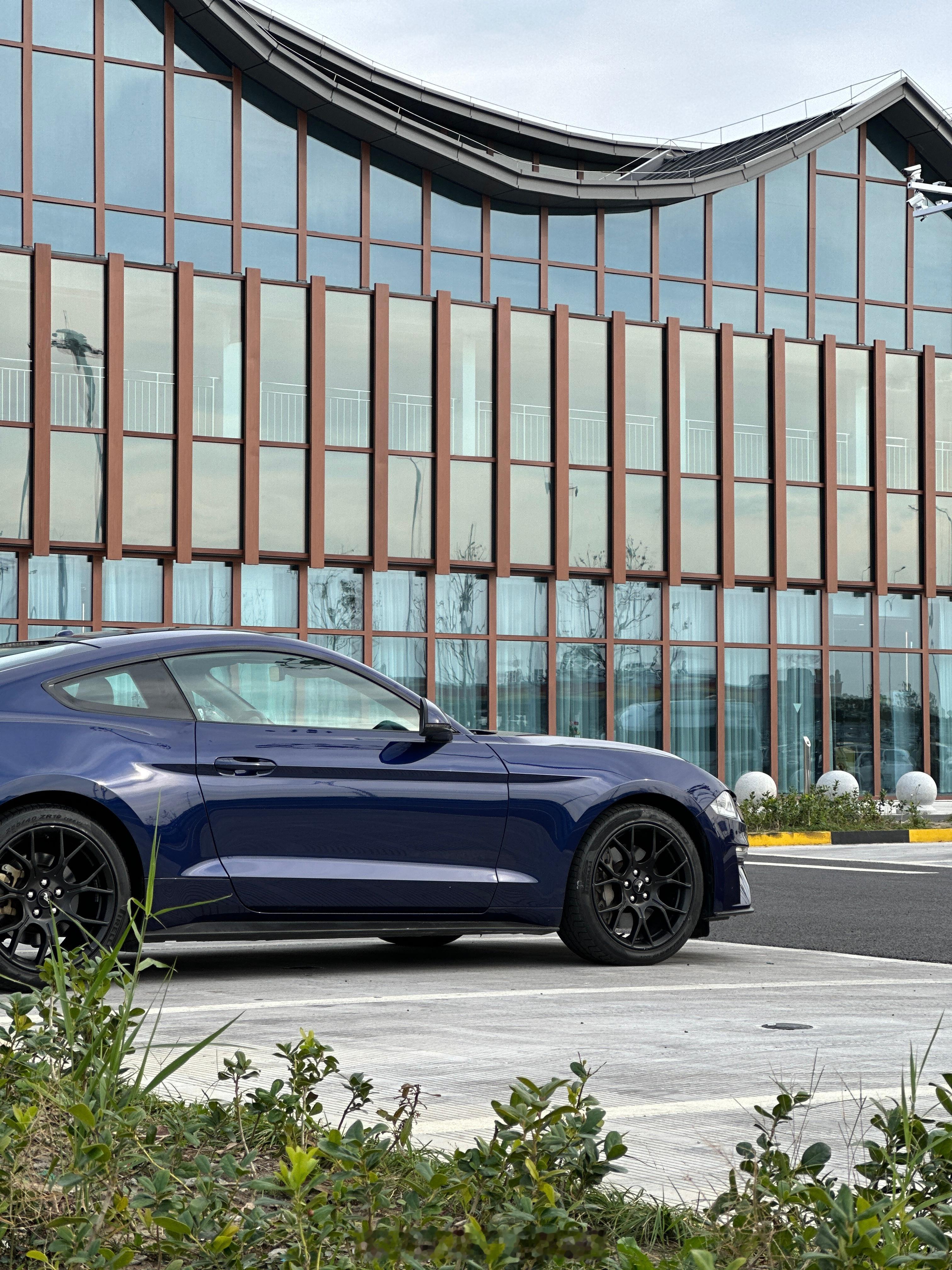 帅马？！！​这个颜色  ​​​