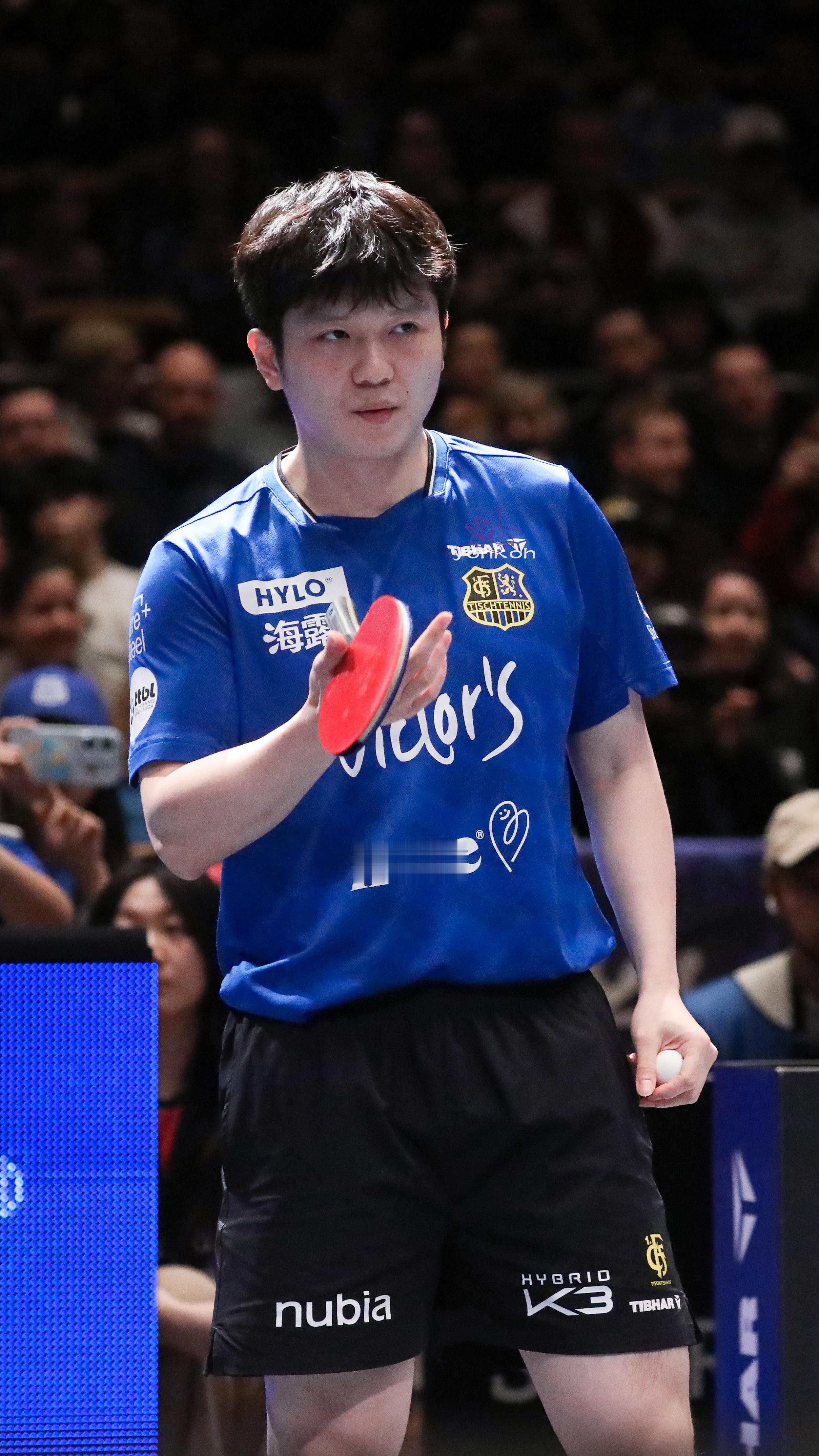 樊振东樊振东德甲 你比钻石闪耀东东午安繁星晚好 