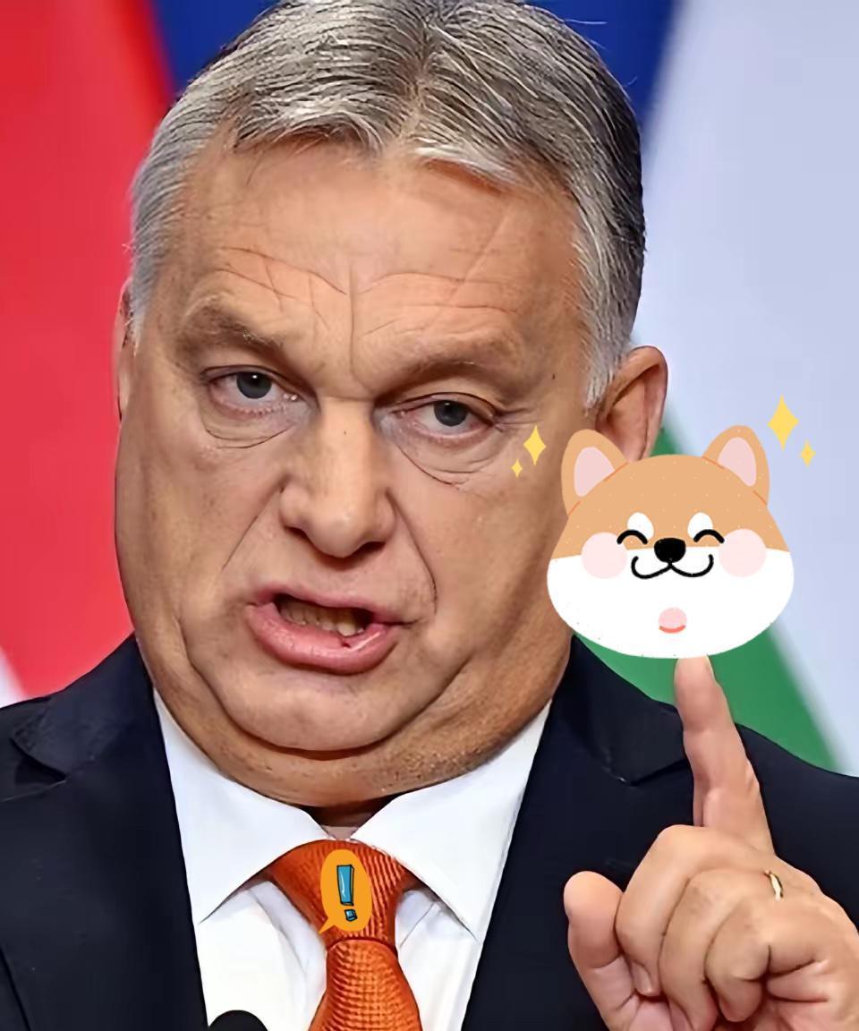 急讯！布达佩斯刚把话挑明，欧洲这根弦又绷紧了！
 
据最新报道，匈牙利总理欧尔班