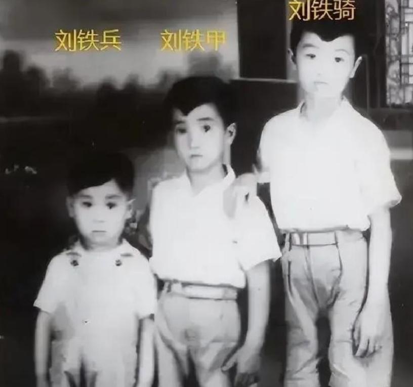 1951年，刘青山被处死，十几年后，他的大儿子考上了石油学院，却因政审被拒。于是