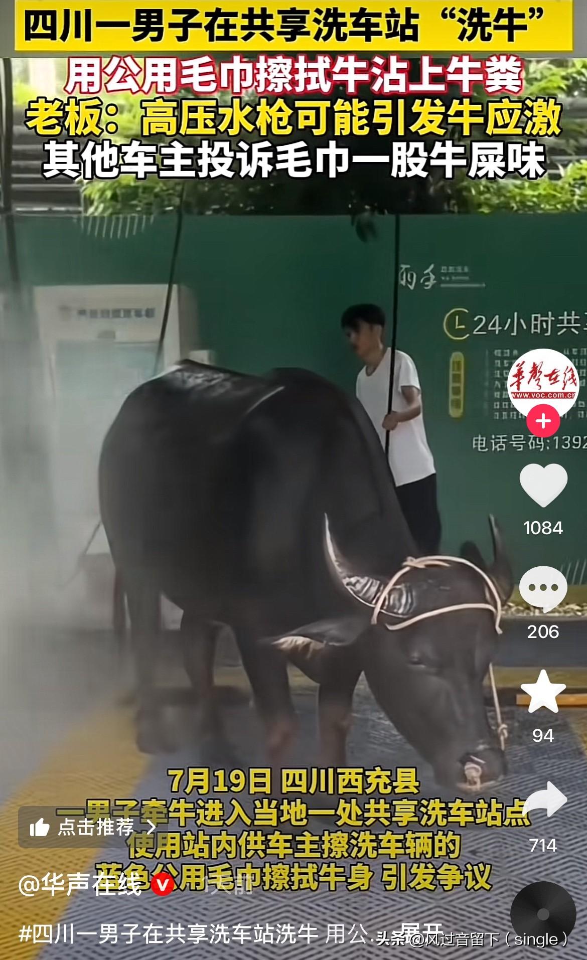 这牛想着这辈子都没有这种待遇吧！
7月19日，四川西充县一男子把牛拉到当地一个共
