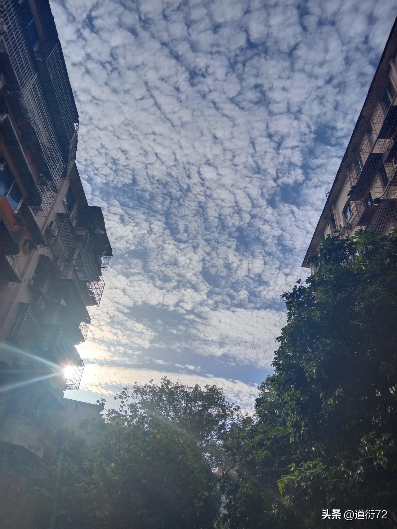 医生是备受尊敬的职业，究其根本，在于他们从事救死扶伤的工作。这活儿没真本事可干不