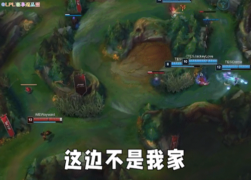 哈哈哈哈，大黄的反向逃生秀[捂脸]
“这边不是我家！”
这个表情亮的就相当心酸了