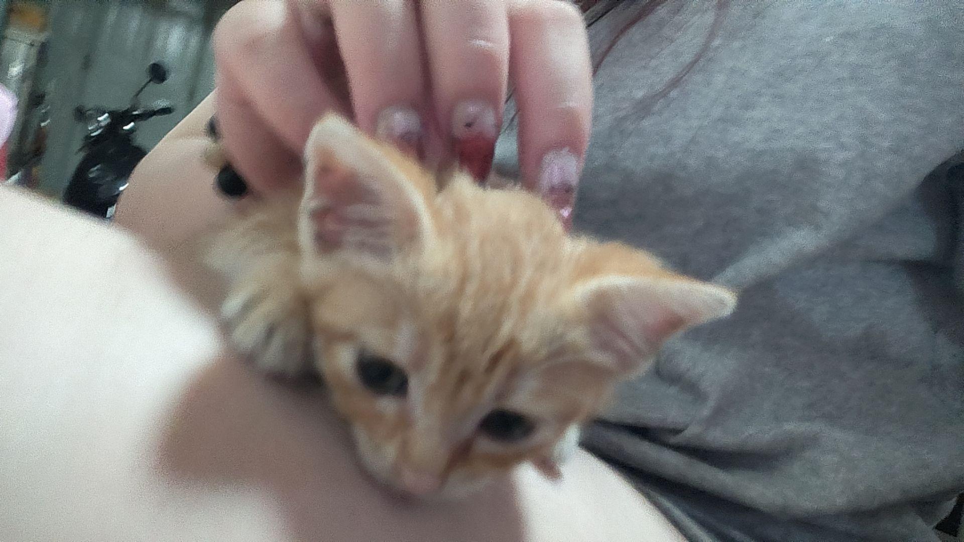 爱的桥段叫我怎么写