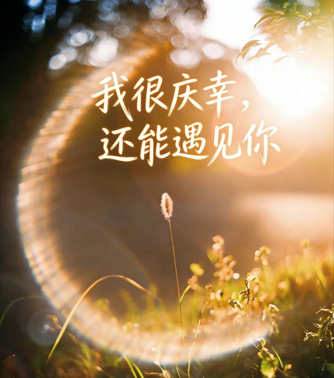 遇见你很幸运，难得我们彼此喜欢。 ​​​