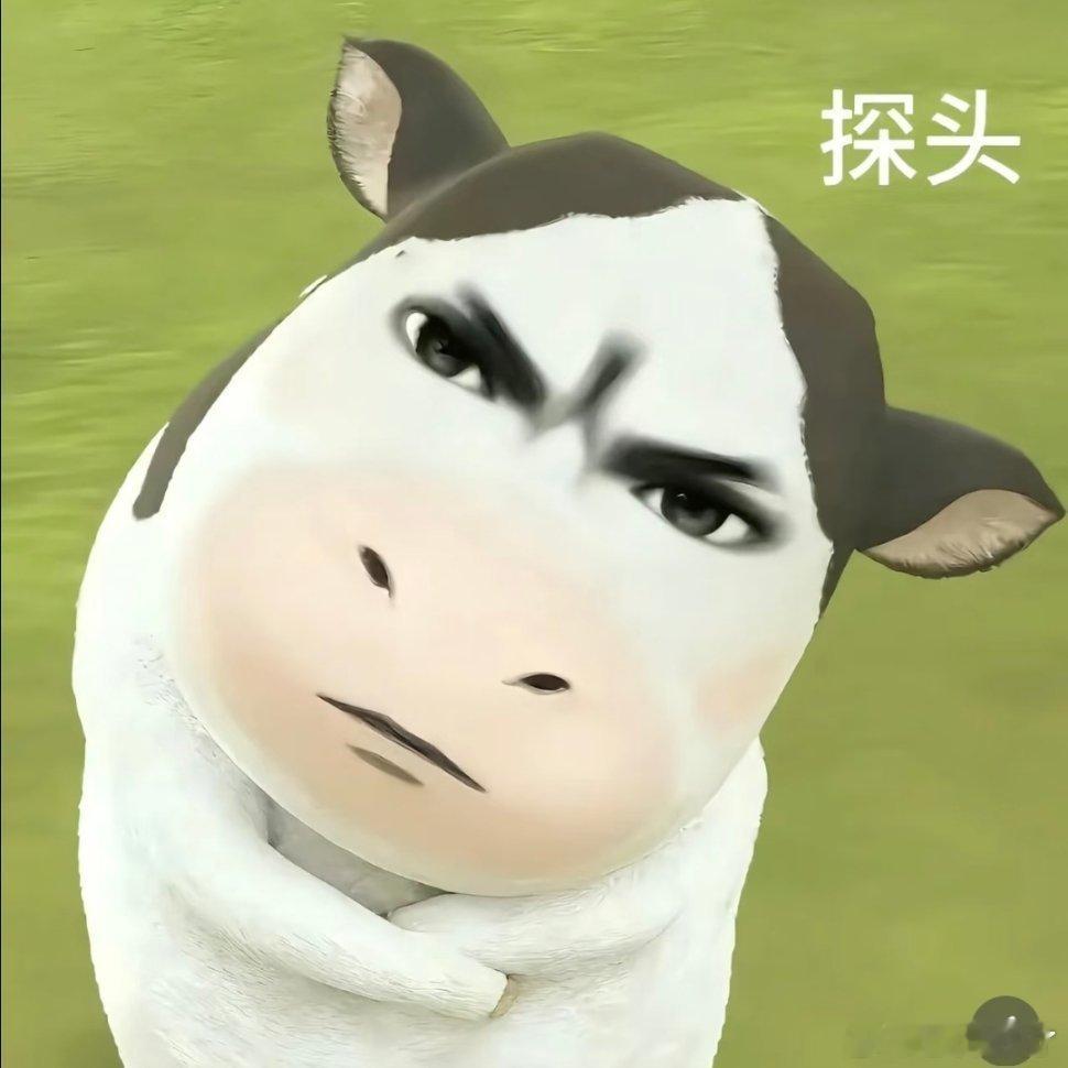 搞笑表情包分享动漫点评团次元新星计划