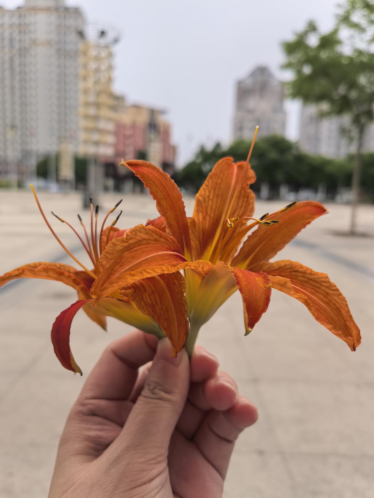父亲节快乐！
