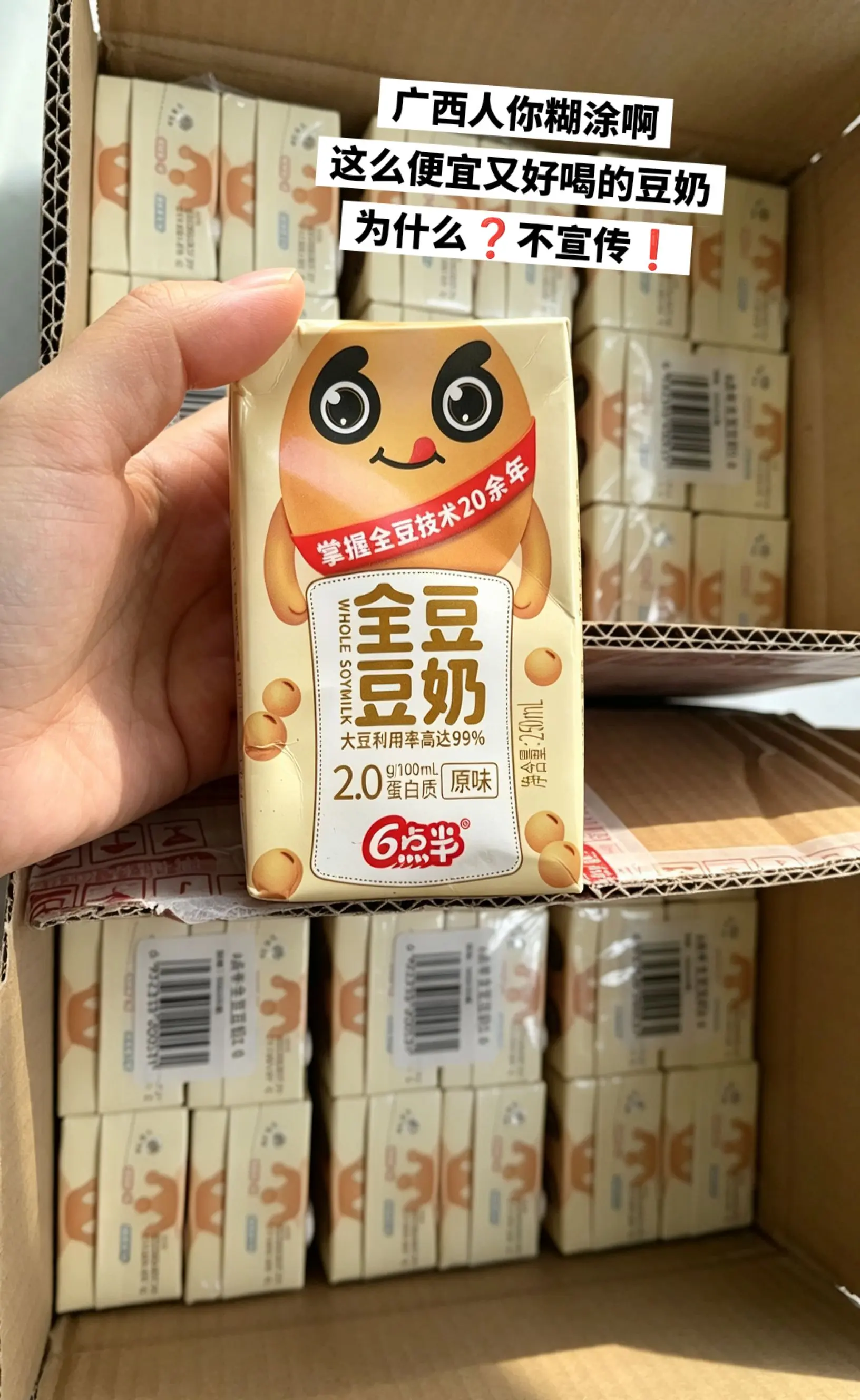 六点半豆奶，你的权威我后知后觉。
