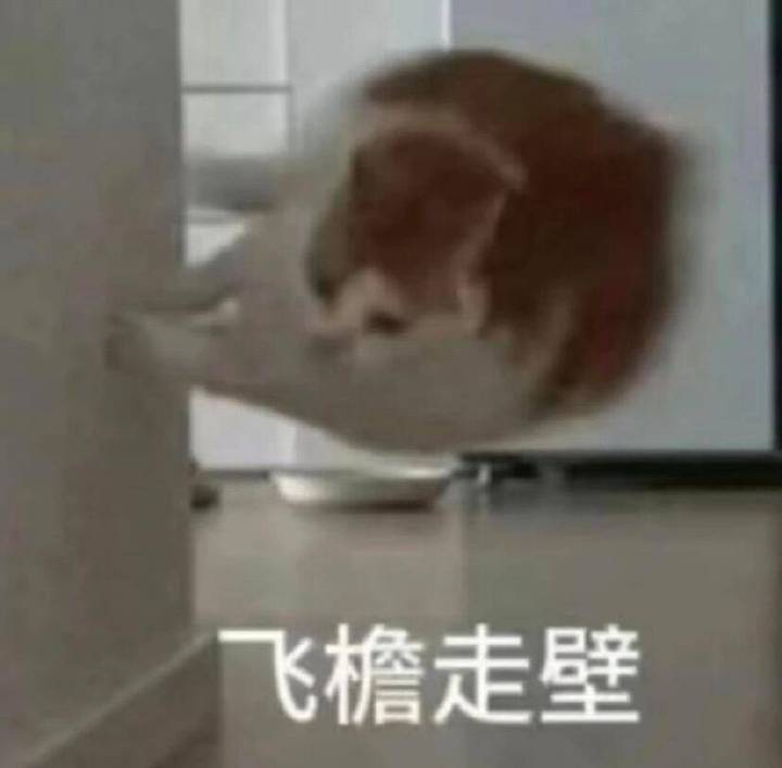 所以就是得人多就是得穿黄 黄色多了谁犯贱都不怕 黄色压倒性优势就是道理本身 ​​