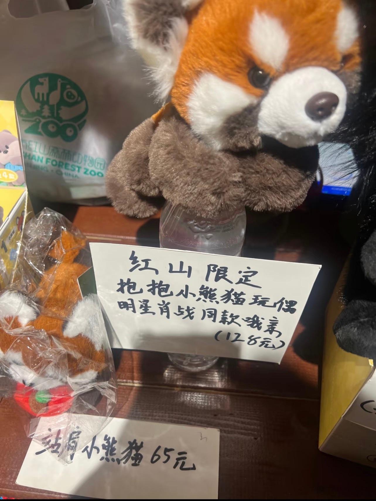 肖战带火红山动物园小熊猫玩偶考拉馆附近（在美食广场）这个文创店早上十点半到货肖战