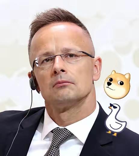 12月9日，匈牙利外长西雅尔多在莫斯科放话，不管别人怎么逼迫，匈牙利都不会切断跟