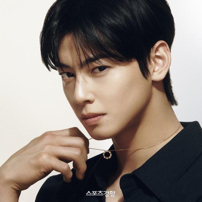 车银优的逃税策略“逃税天才”车银优的逃税策略相当缜密 车银优的逃税策略相当缜密