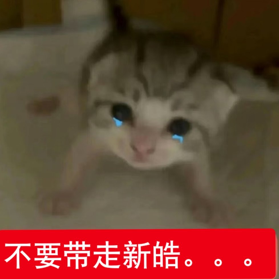 感觉像是把孩子放在托儿所了，孩子抽课间时间来扒在栏杆上叽里咕噜跟我分享一通又踩着
