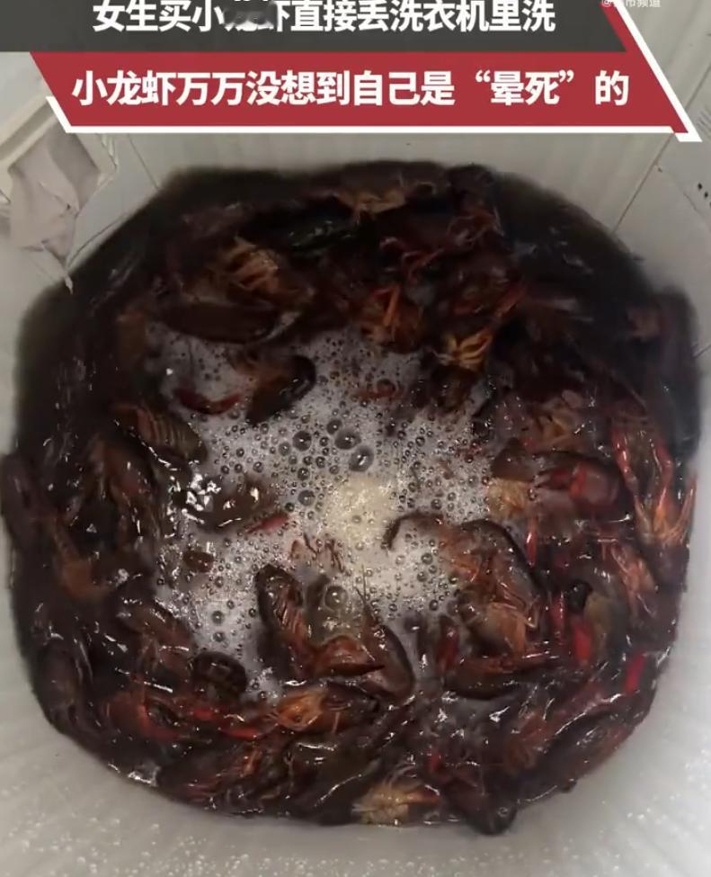 笑不活了！5月1日大象新闻报道，贵州女子五一买了小龙虾想解馋，懒得动手挨个刷洗，