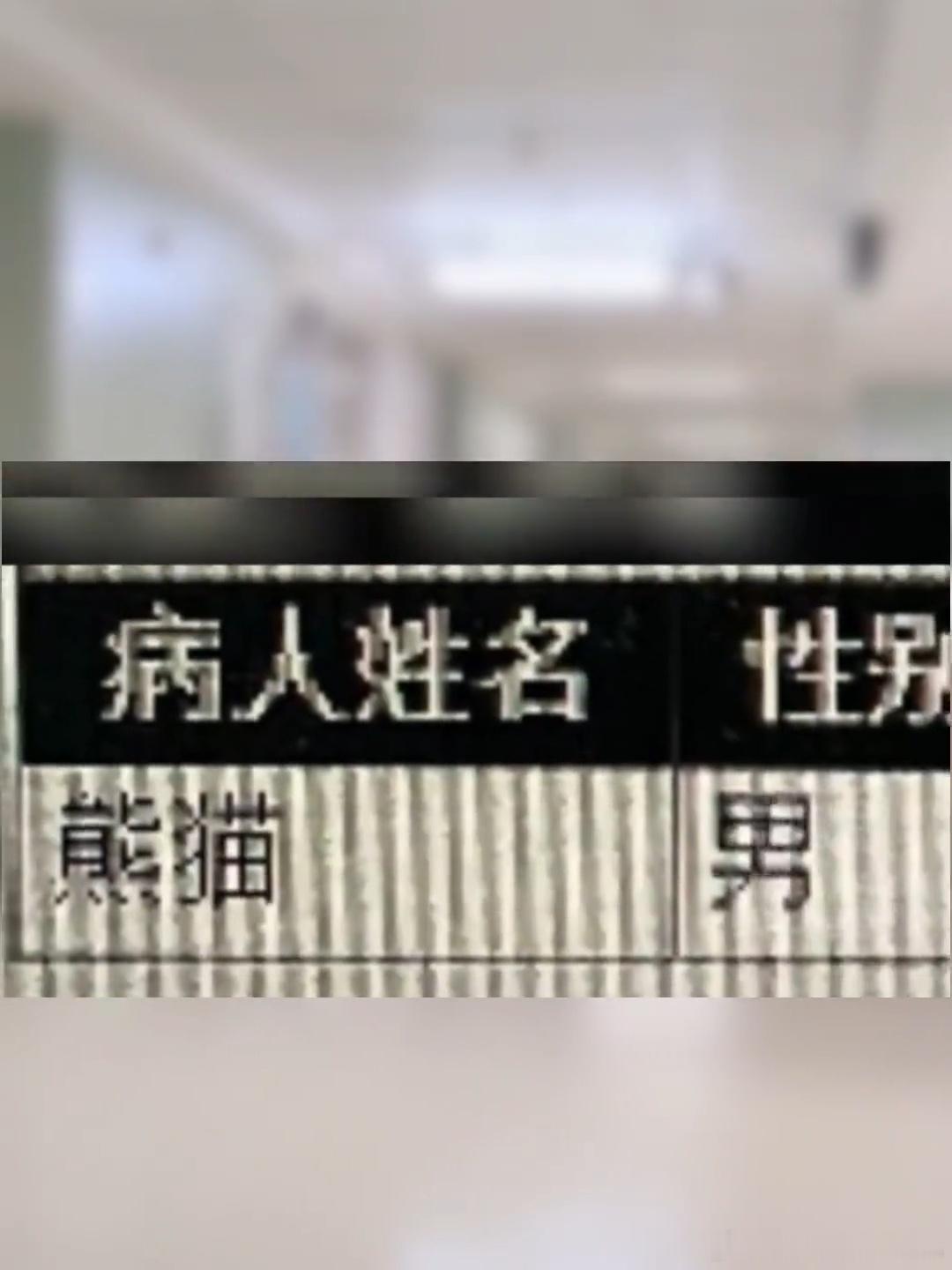 姓熊名猫实际也是熊猫的熊猫男熊来做ct了