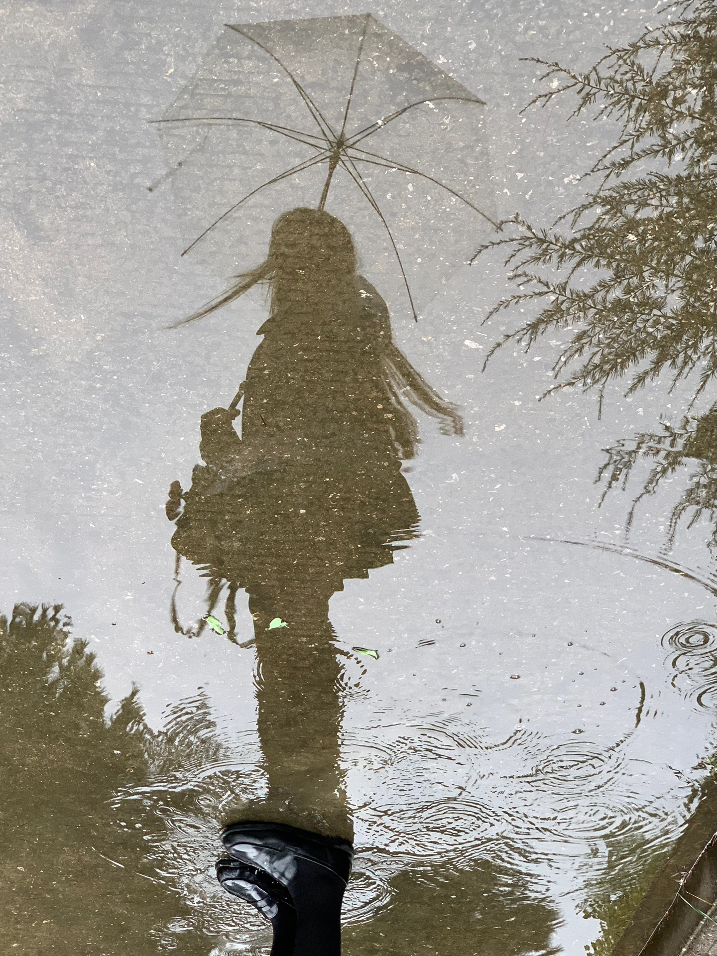 终有一天，我们免不了会觉得后悔——就我而言，我宁可让自己因有所为而后悔，而不是后