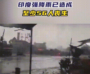 印度这波雨也太狠了！

两天就夺走56条命，上千间房子冲没了，庄稼和牛羊也跟着遭
