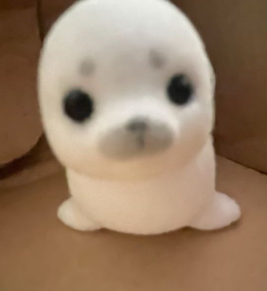 张元英  一字萌 