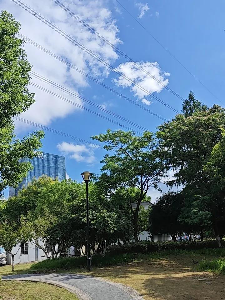 50岁后，身上这3处不堵，比存款百万更金贵！

人老了最怕啥？不是没钱，是半夜胸
