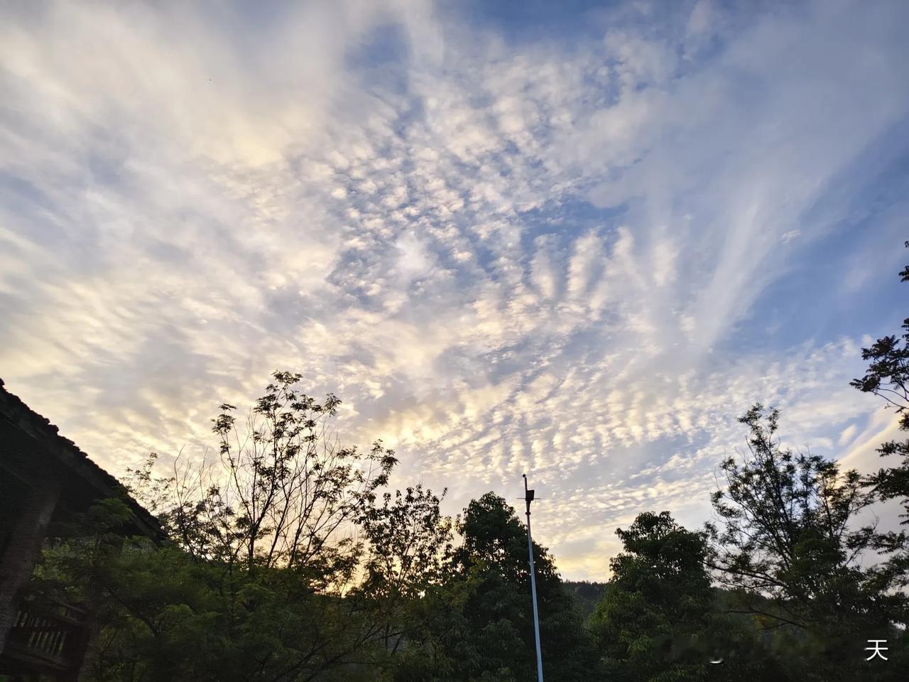 戳这里，一起来集邮>