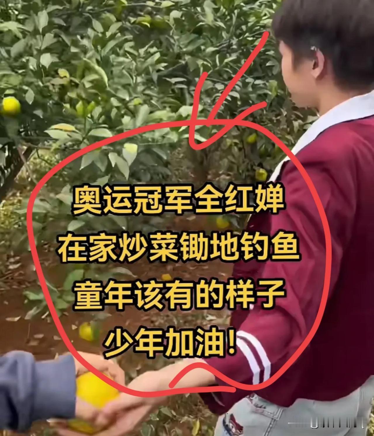 用潘展乐的话说全红婵现象最合适！
我默默无闻的时候没人理我，我成名了一大堆人出来