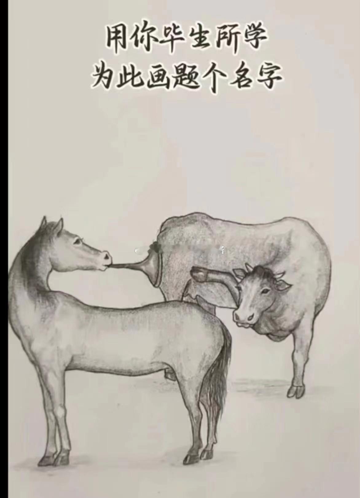 全球最佳舔狗是谁？请打在评论区… ​​​