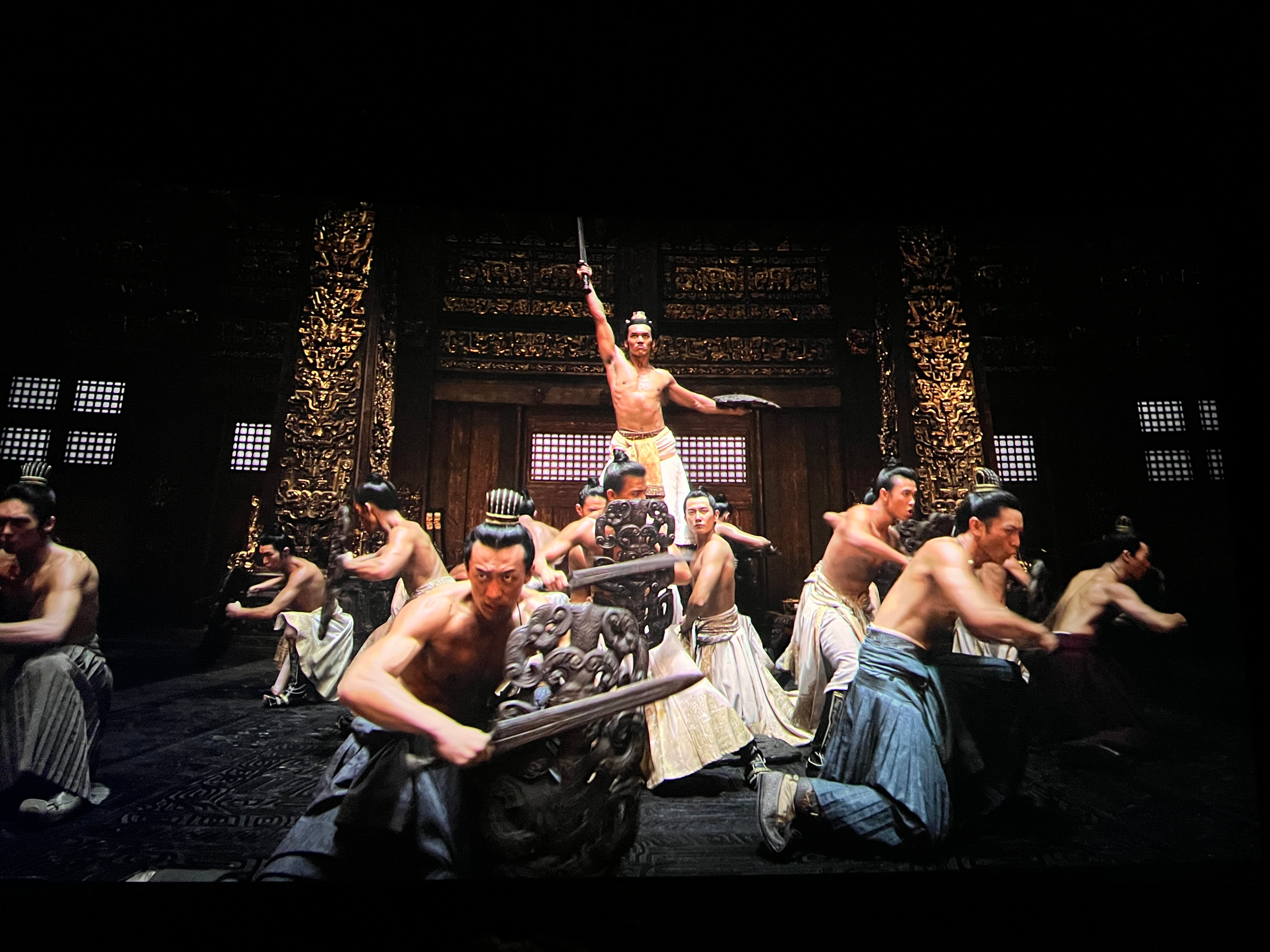 白天看大胸肌，晚上酒池猫林#中国猫吹不了空调##夏日萌宠清凉趴# ​​​